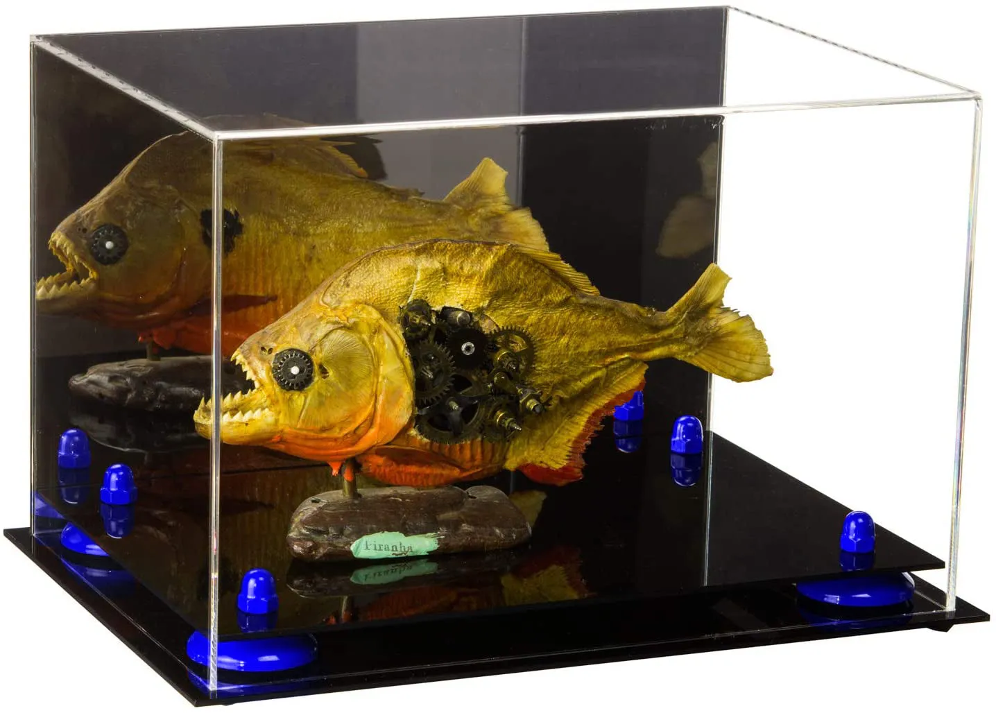 Acrylic Versatile Display Case 12 X 8.25 X 8 - Mirror no Wall Mounts (V41/A004)