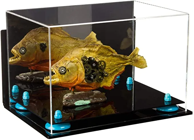 Acrylic Versatile Display Case 12 X 8.25 X 8 - Mirror Wall Mounts (V41/A004)