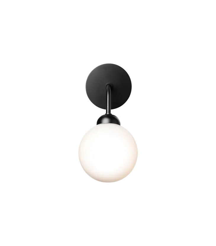 Apiales Wall Lamp