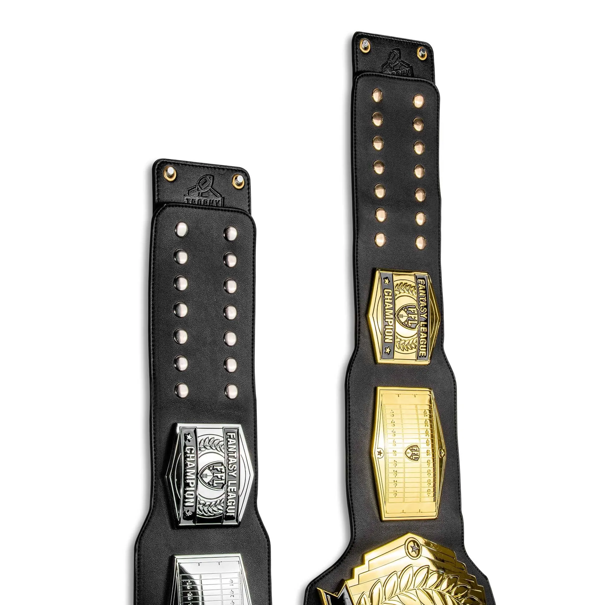 Championship Belt Hanging Wall Mount