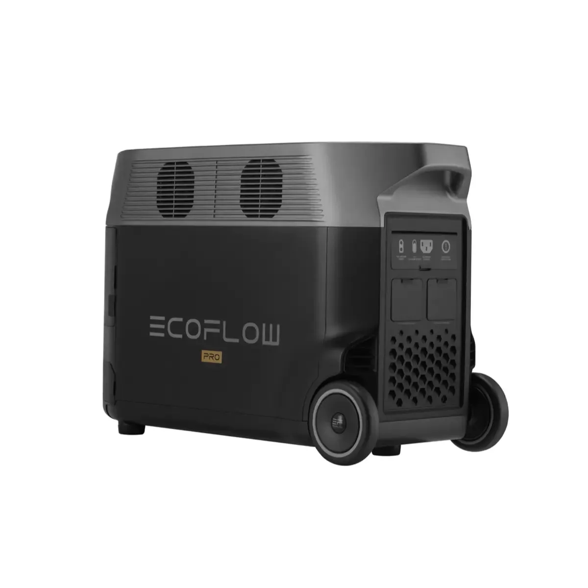 EcoFlow DELTA Pro   220W Portable Solar Panel