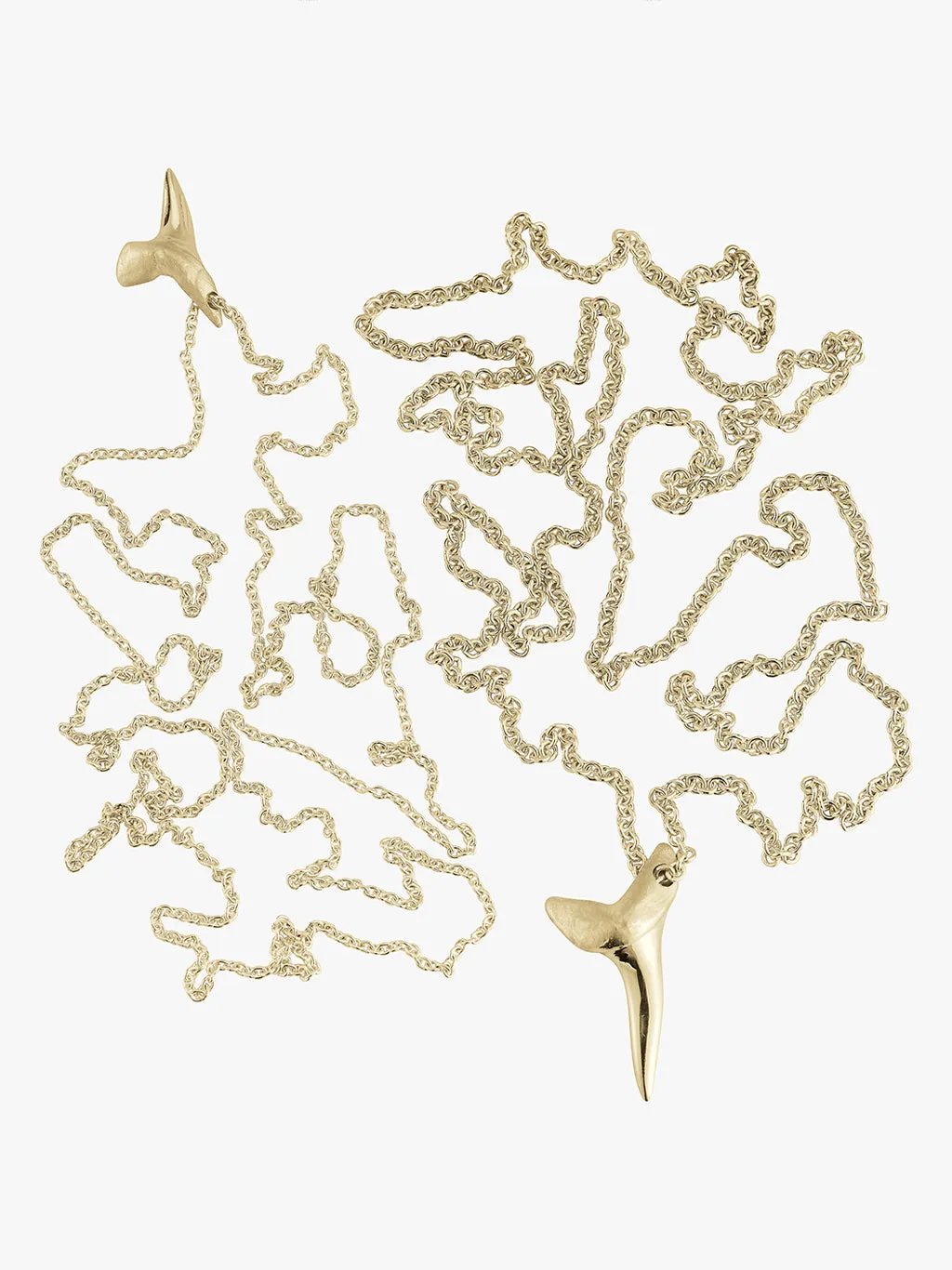 Gold Shark Tooth