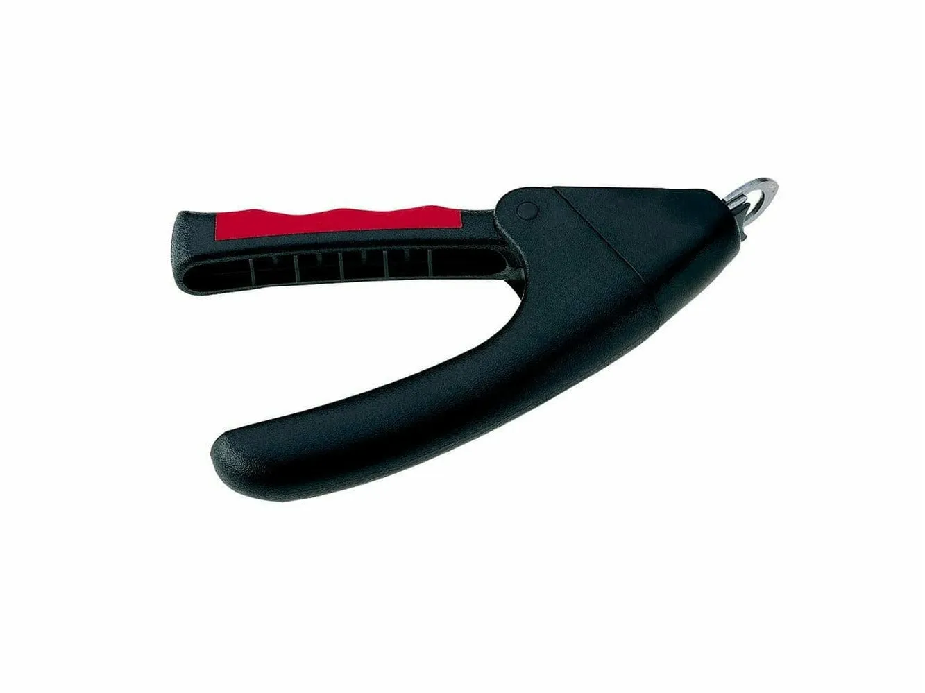GRO 5985 TAGLIAUNGHIE A GHIGLI