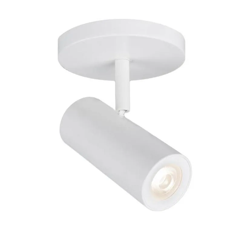Silo X10 Adjustable Spot Light