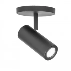 Silo X10 Adjustable Spot Light