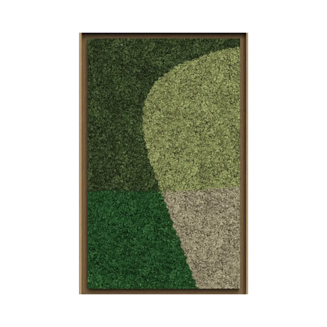 Synergy Framed Moss Art (Series B)