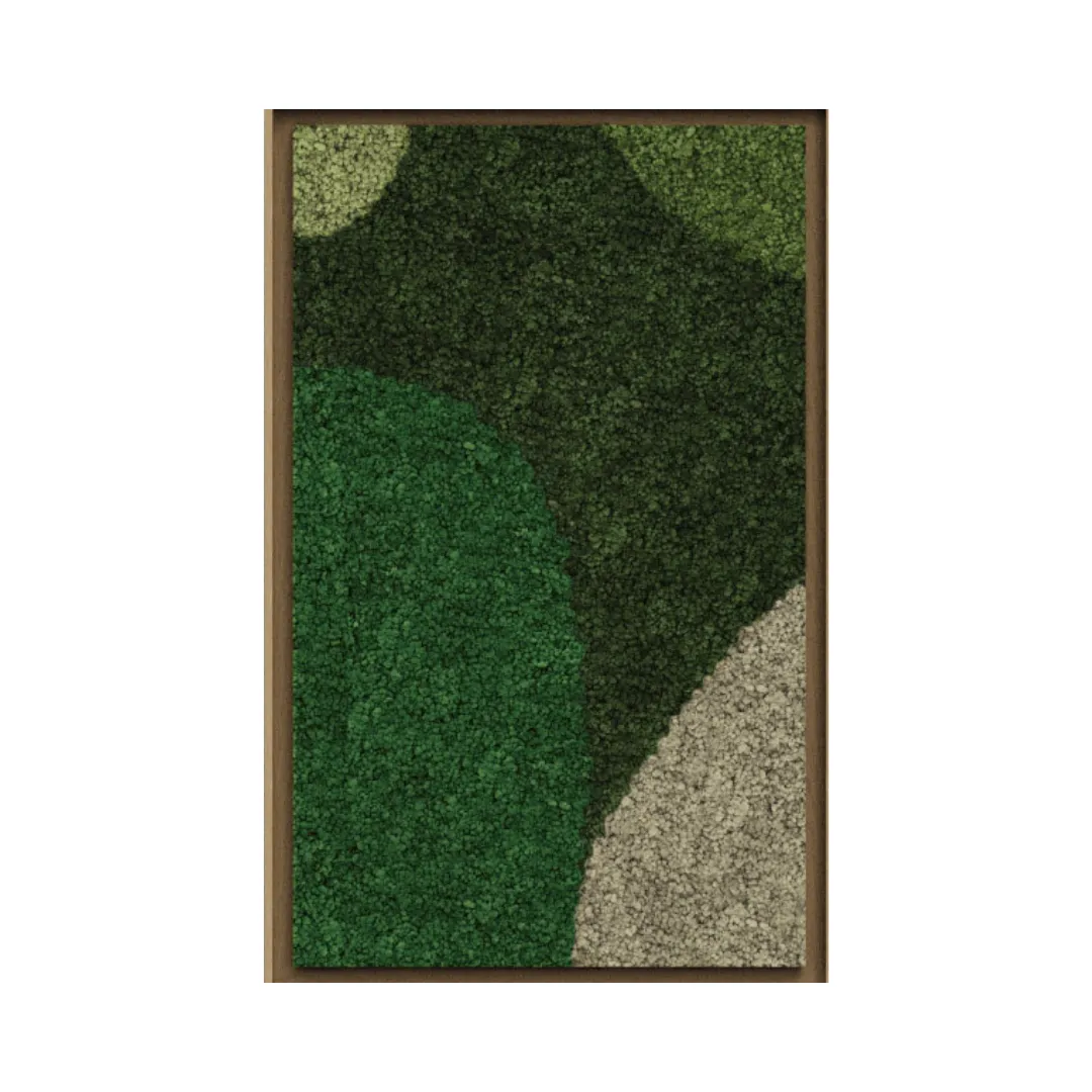 Synergy Framed Moss Art (Series E)
