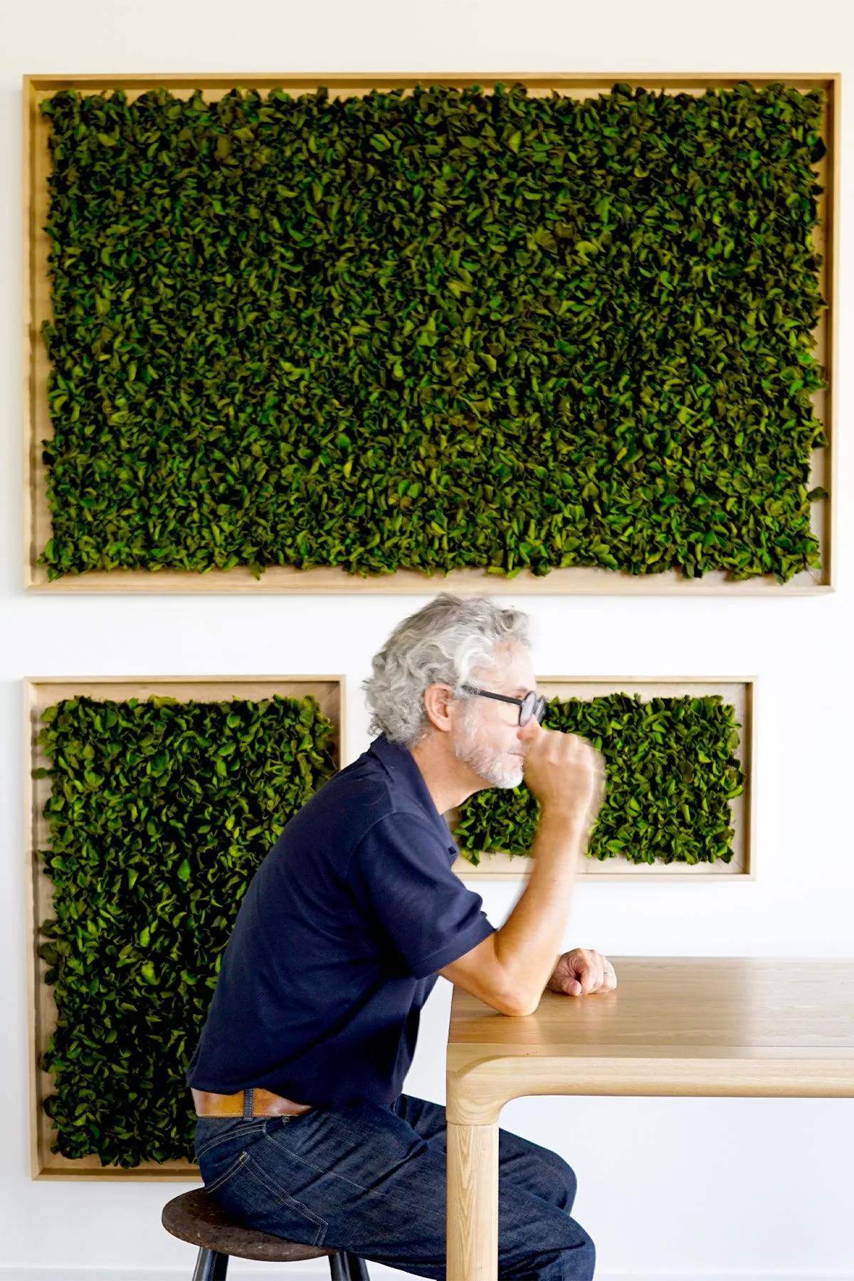 Textured Plant Framed Moss Wall Art