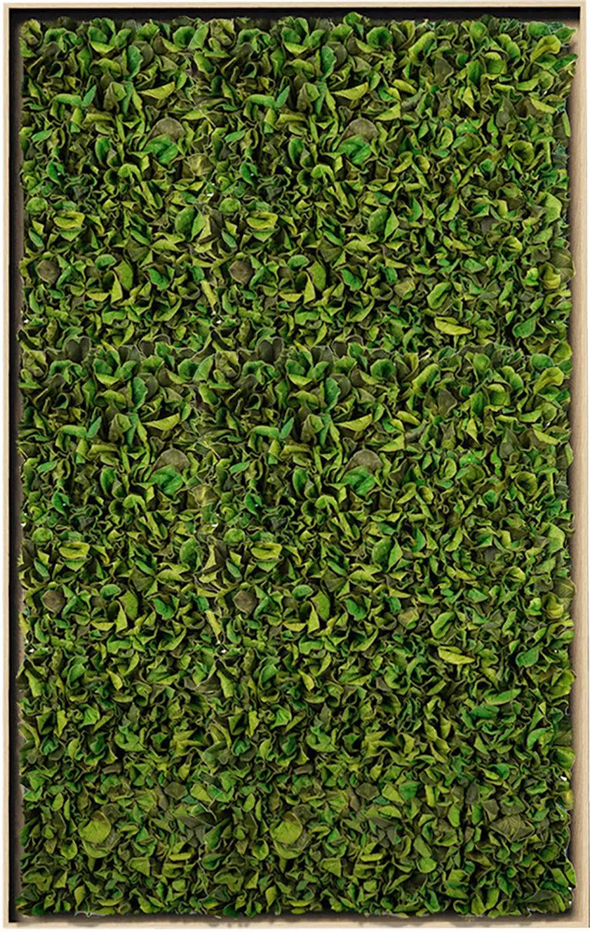 Textured Plant Framed Moss Wall Art