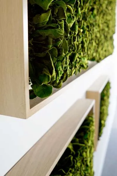 Textured Plant Framed Moss Wall Art