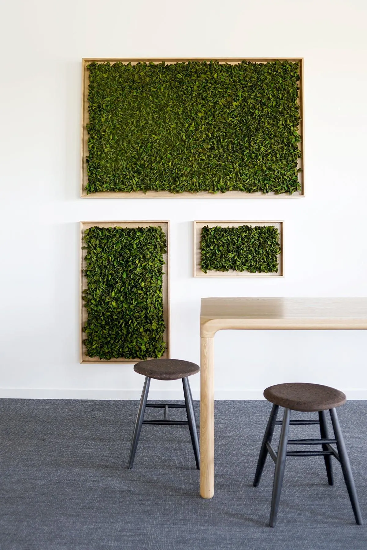 Textured Plant Framed Moss Wall Art