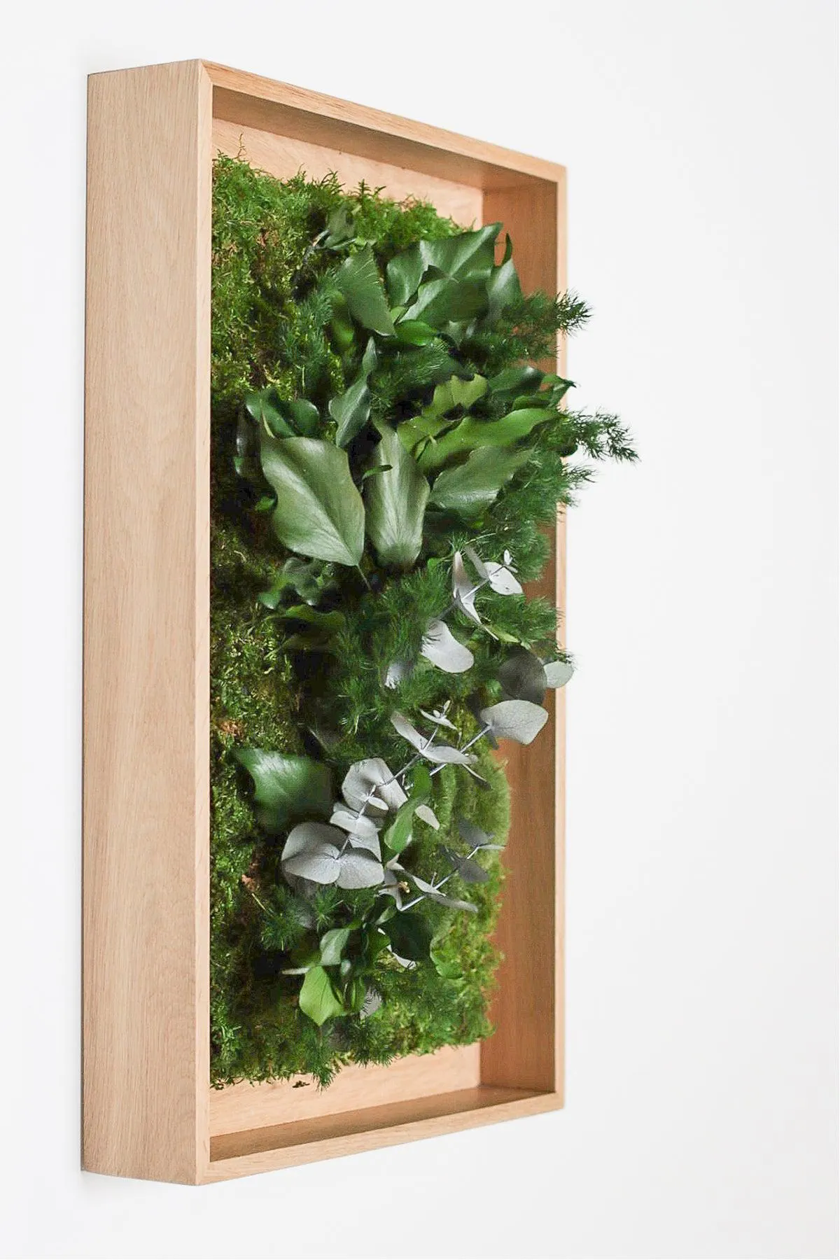 Textured Plant Framed Moss Wall Art