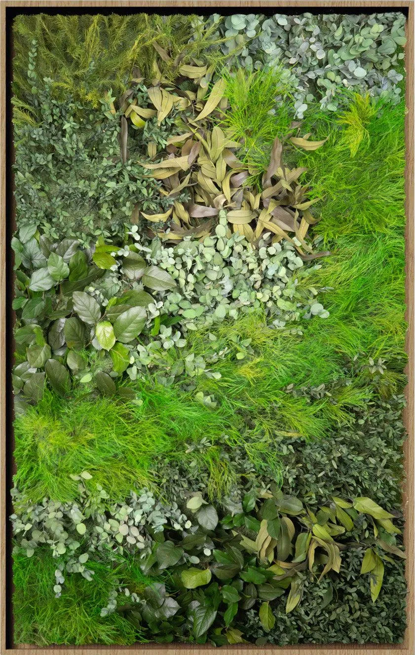 Textured Plant Framed Moss Wall Art