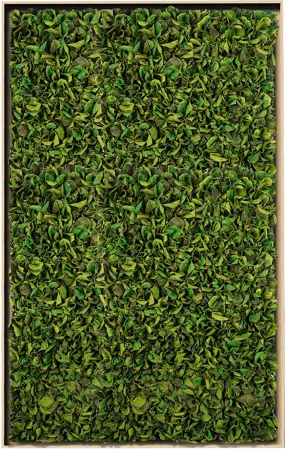 Textured Plant Framed Moss Wall Art