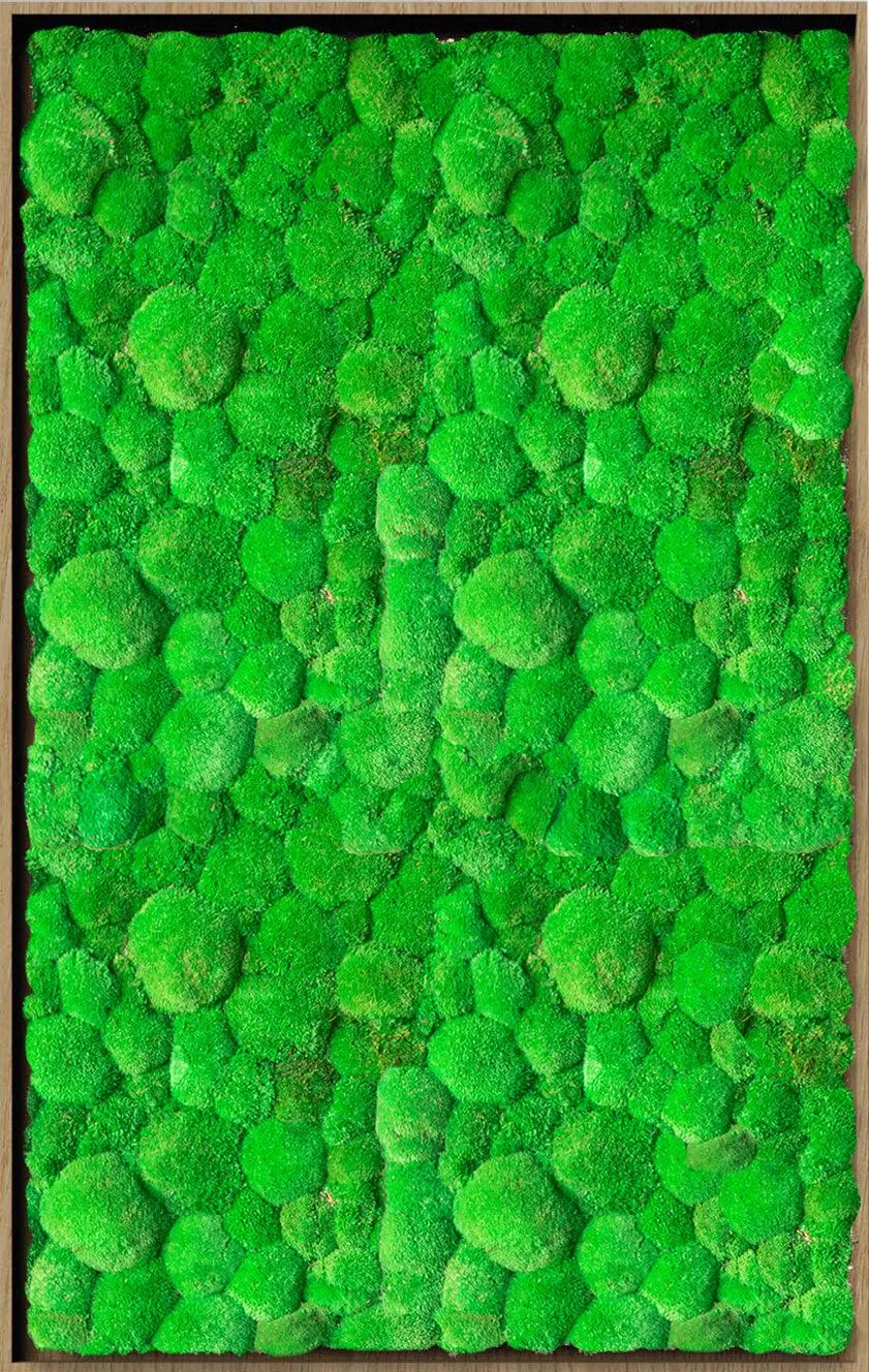Textured Plant Framed Moss Wall Art