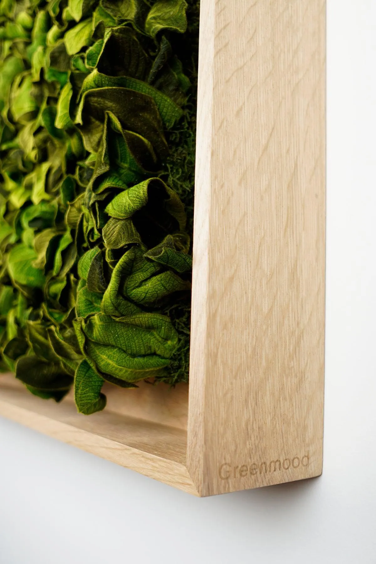 Textured Plant Framed Moss Wall Art