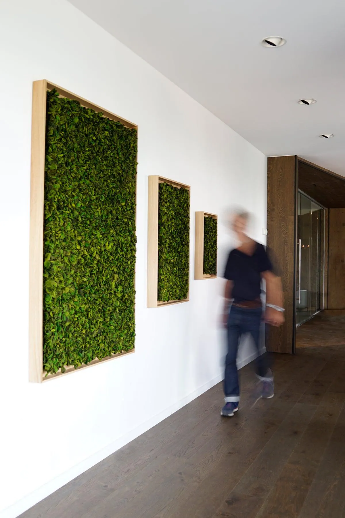 Textured Plant Framed Moss Wall Art