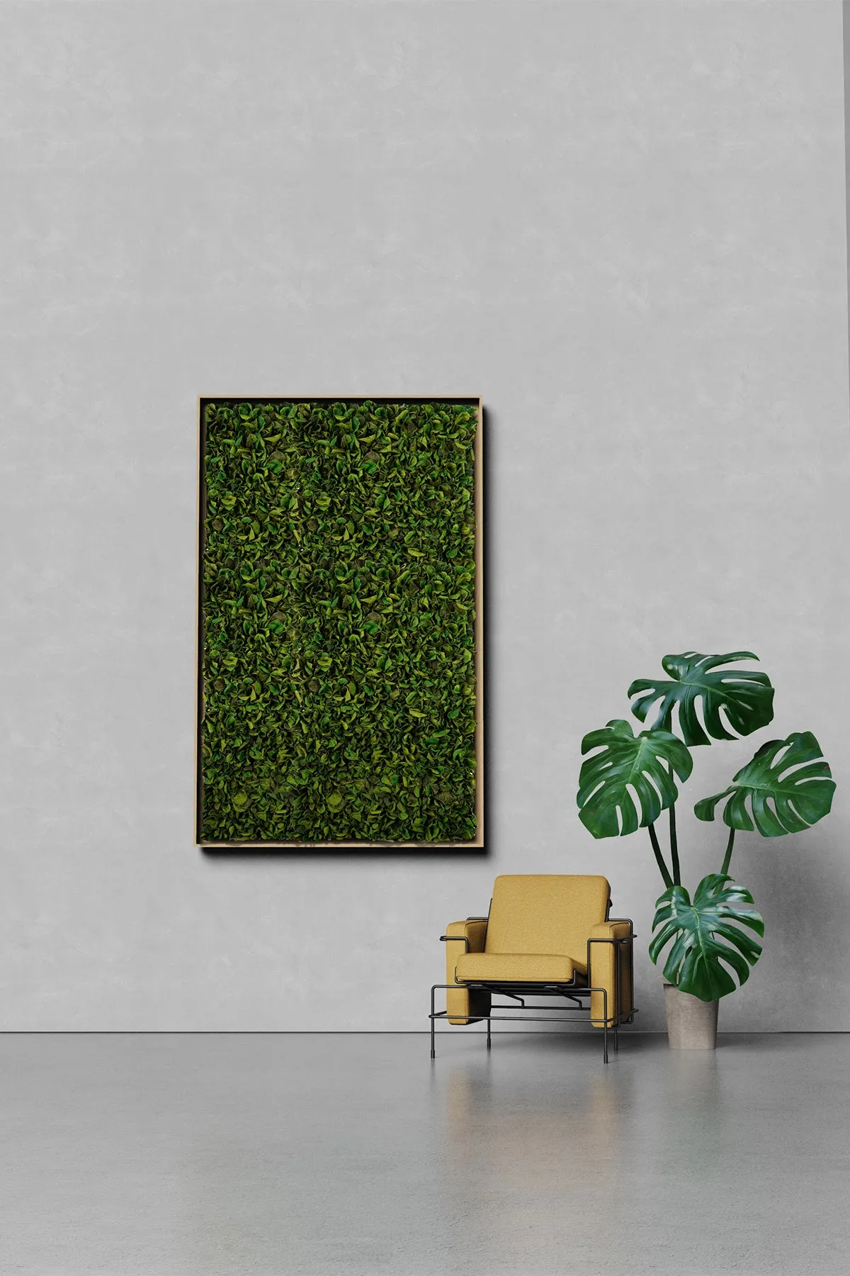 Textured Plant Framed Moss Wall Art