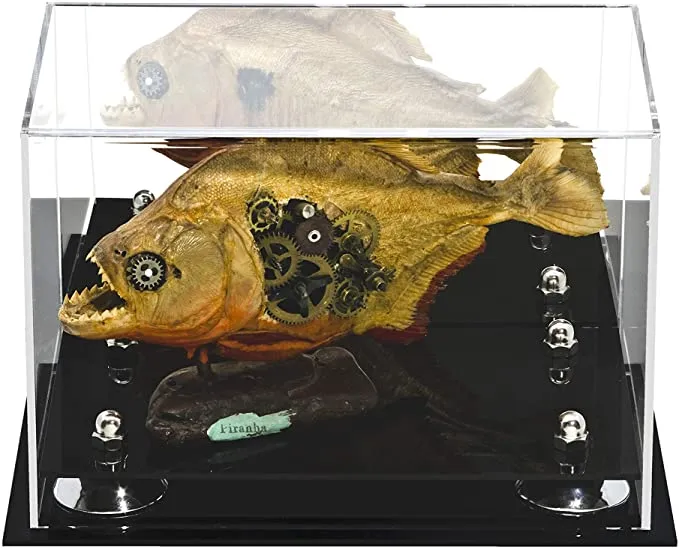 Versatile Acrylic Display Case 9.5 x 6 x 6.5 - Mirror No Wall Mounts (V43/A005)