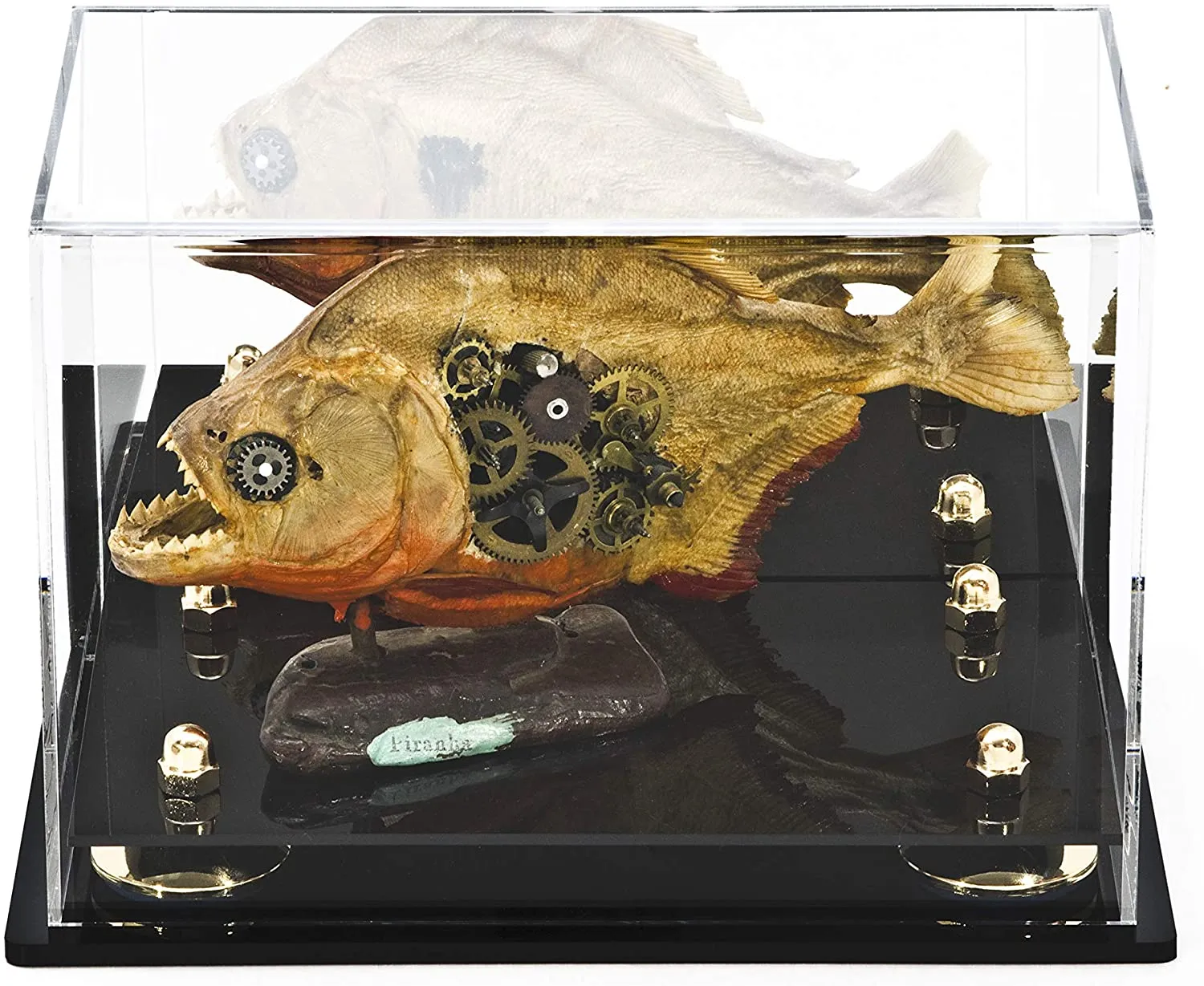 Versatile Acrylic Display Case 9.5 x 6 x 6.5 - Mirror Wall Mounts  (V43/A005)