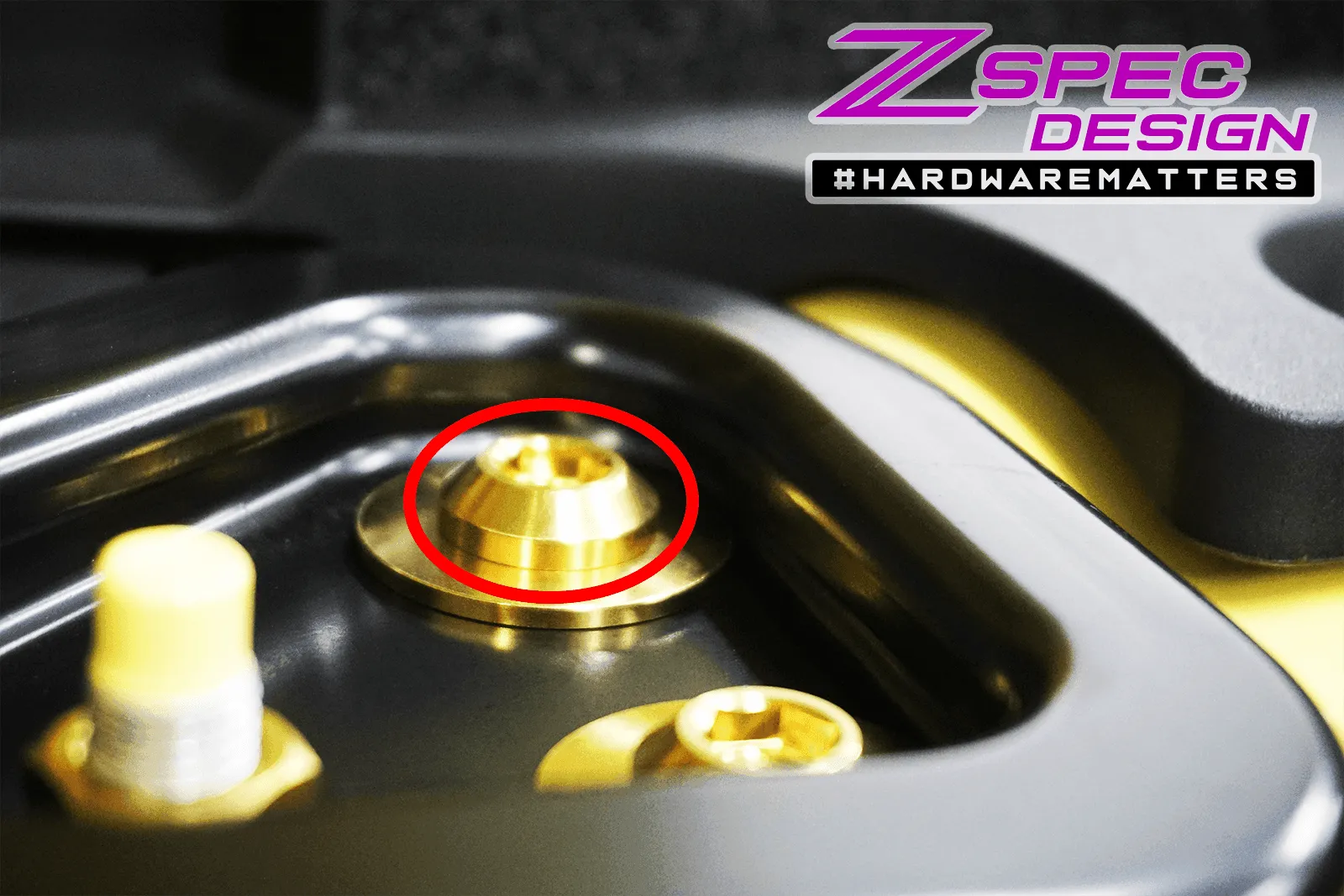 ZSPEC M10-1.25x30mm Dress Up Bolts® Fastener, Titanium GR5, Angled Head, Per Each